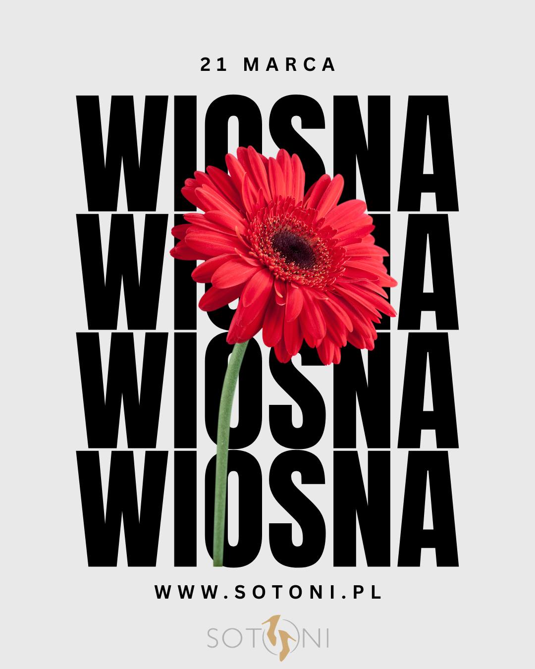Post @sotoni.pl